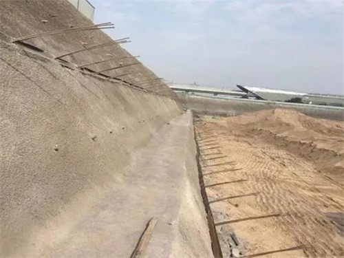 定远河道边坡加固